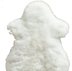 Sheepskin Pelts - Size: Single, Duo (Runner or Side-by-Side), Quatro, 6x, 8x, 10x